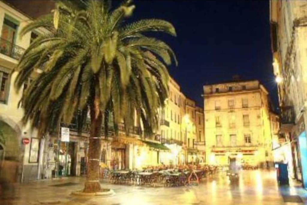 Appartement « le Boheme Chic » Nîmes